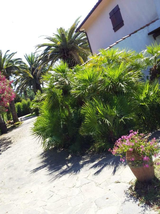 דירות קאפוליברי Le Palme מראה חיצוני תמונה